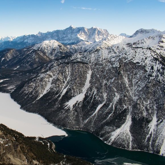 Meet your Posher, Jude - Picture 1 of 1